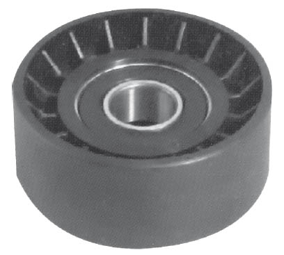 tensor-correia-dentata-182